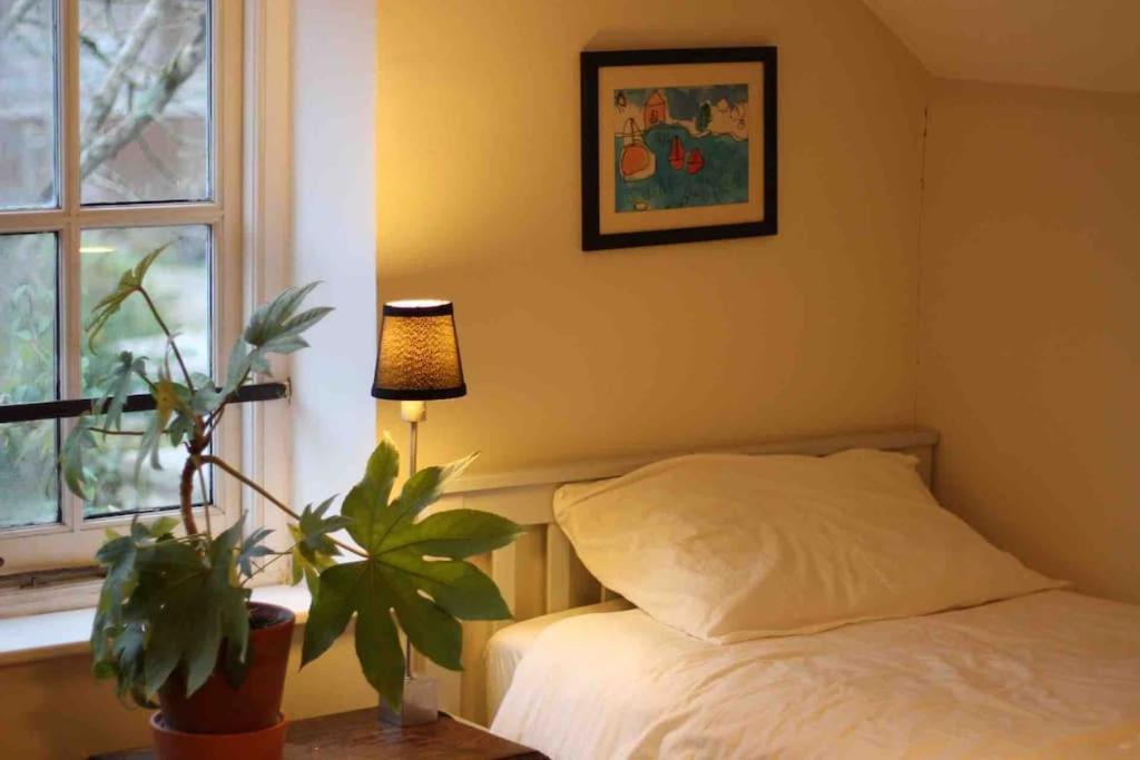 Trinity Annexe An Adorable First Floor Light And Lofty Space Within An Aonb Godmanstone Ngoại thất bức ảnh